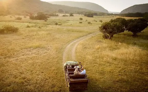 Zuid Afrika