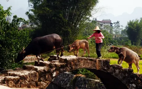 China