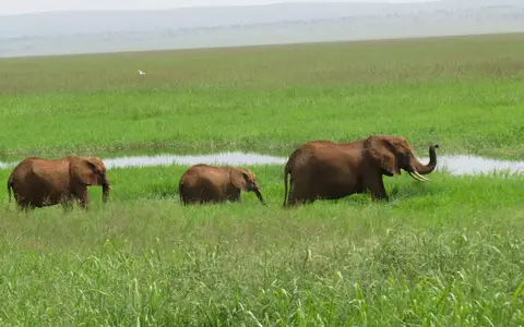 Tanzania