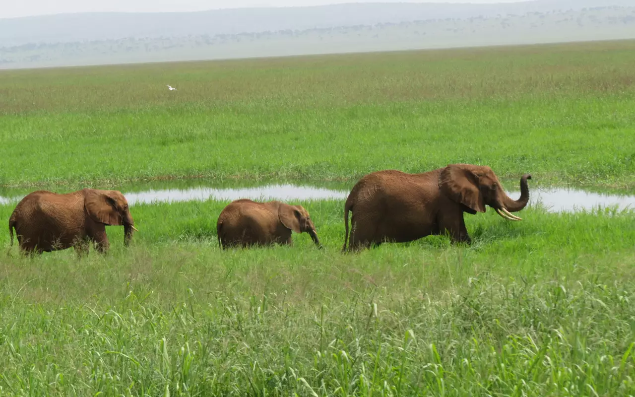 Tanzania
