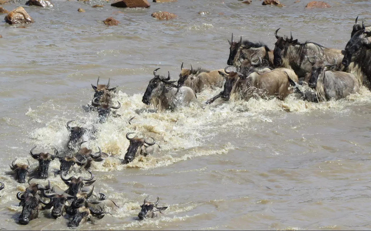 Tanzania