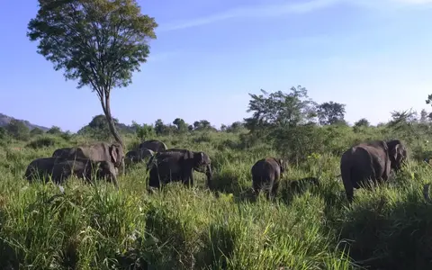 Sri Lanka