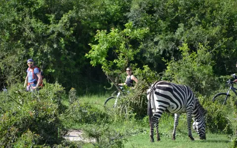 Mountainbike reizen