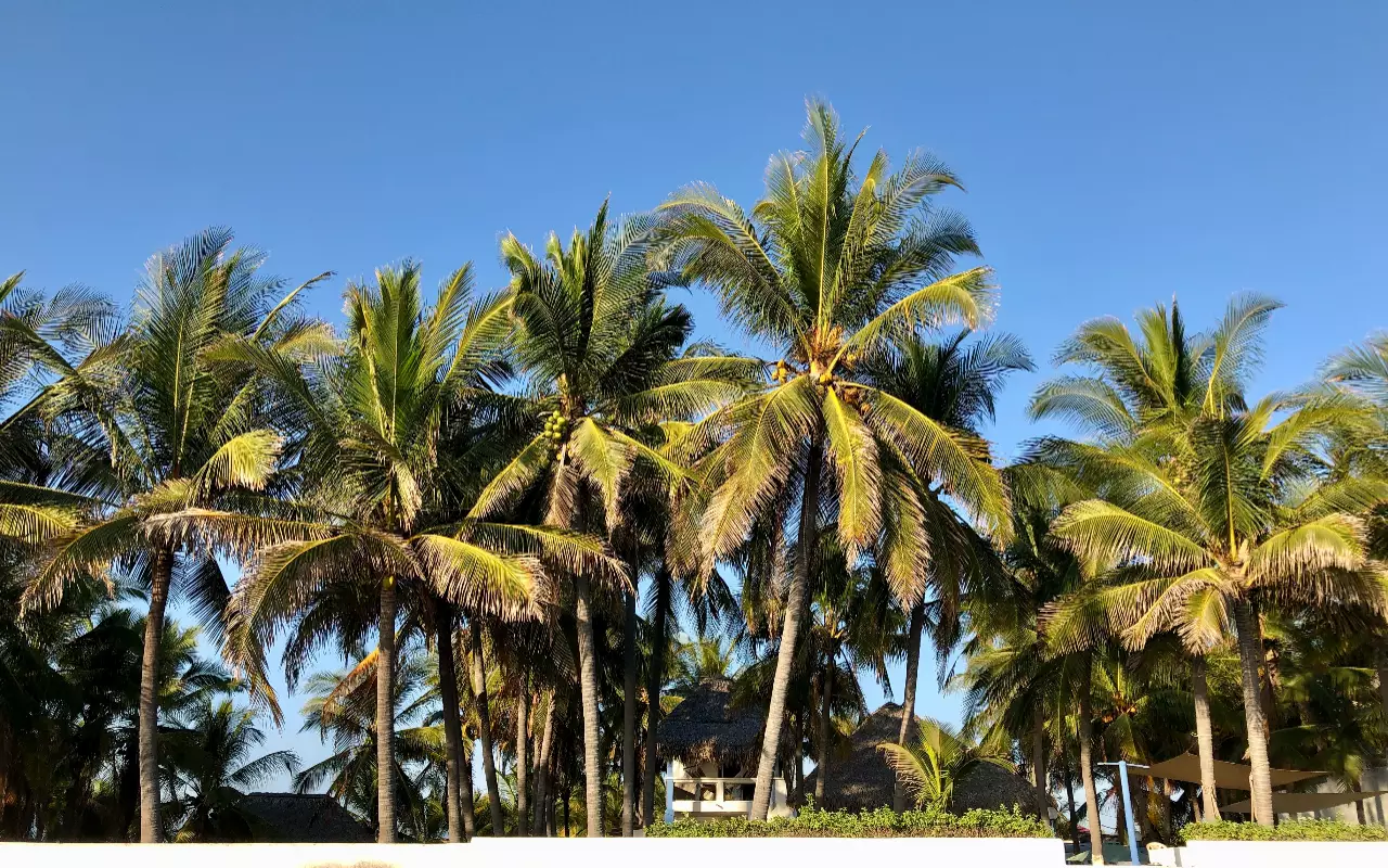 Guatemala