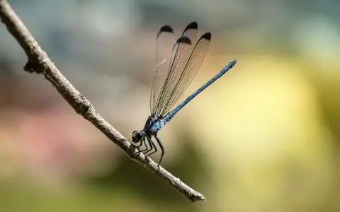 Natuurreizen in Europa