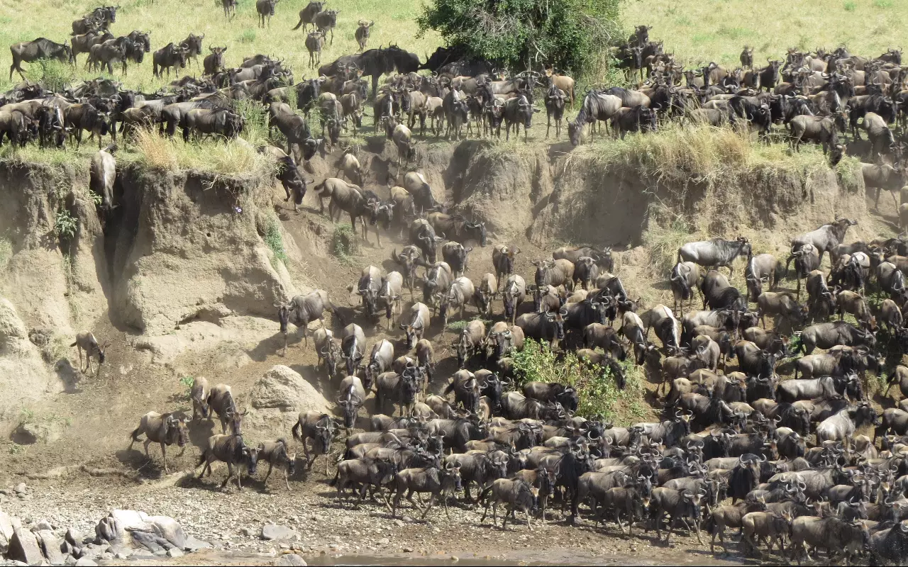 Tanzania
