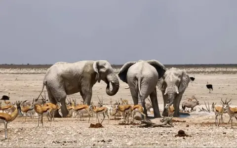 Namibië