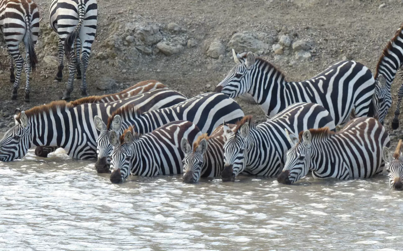 Tanzania