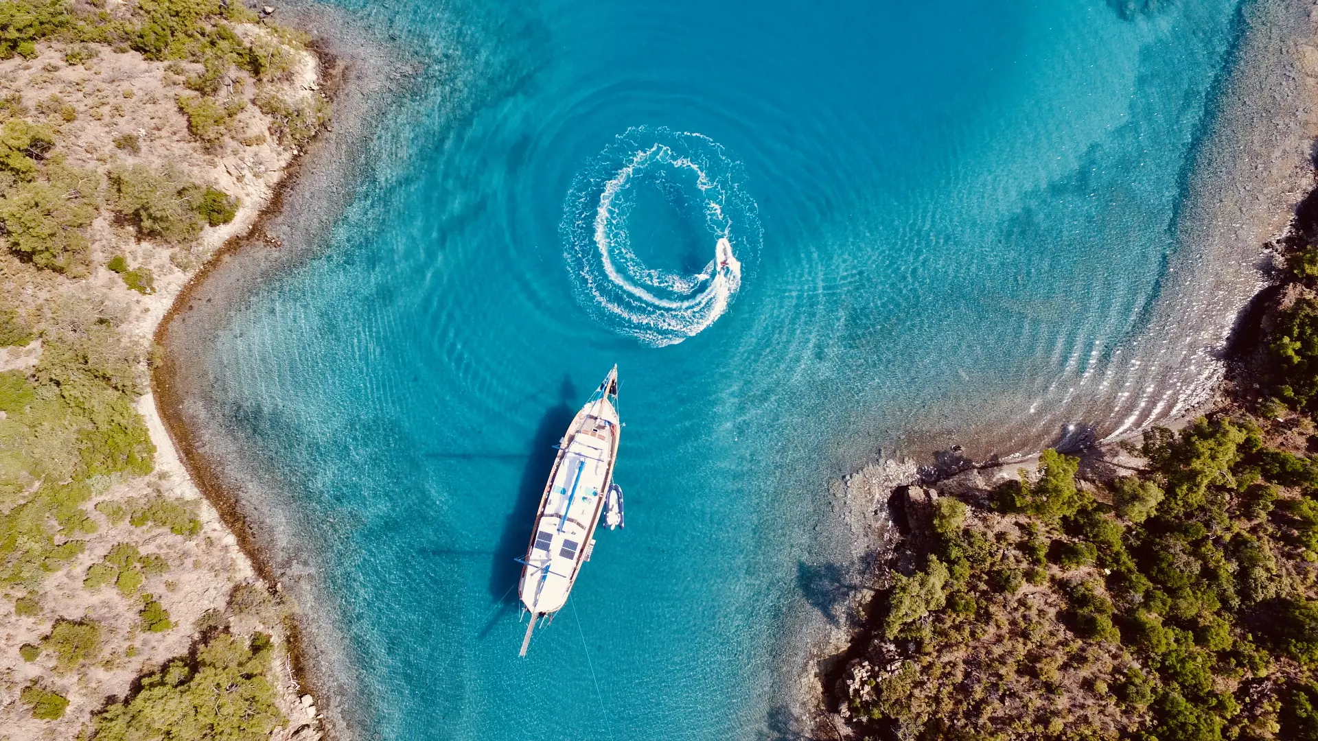 Blue cruises