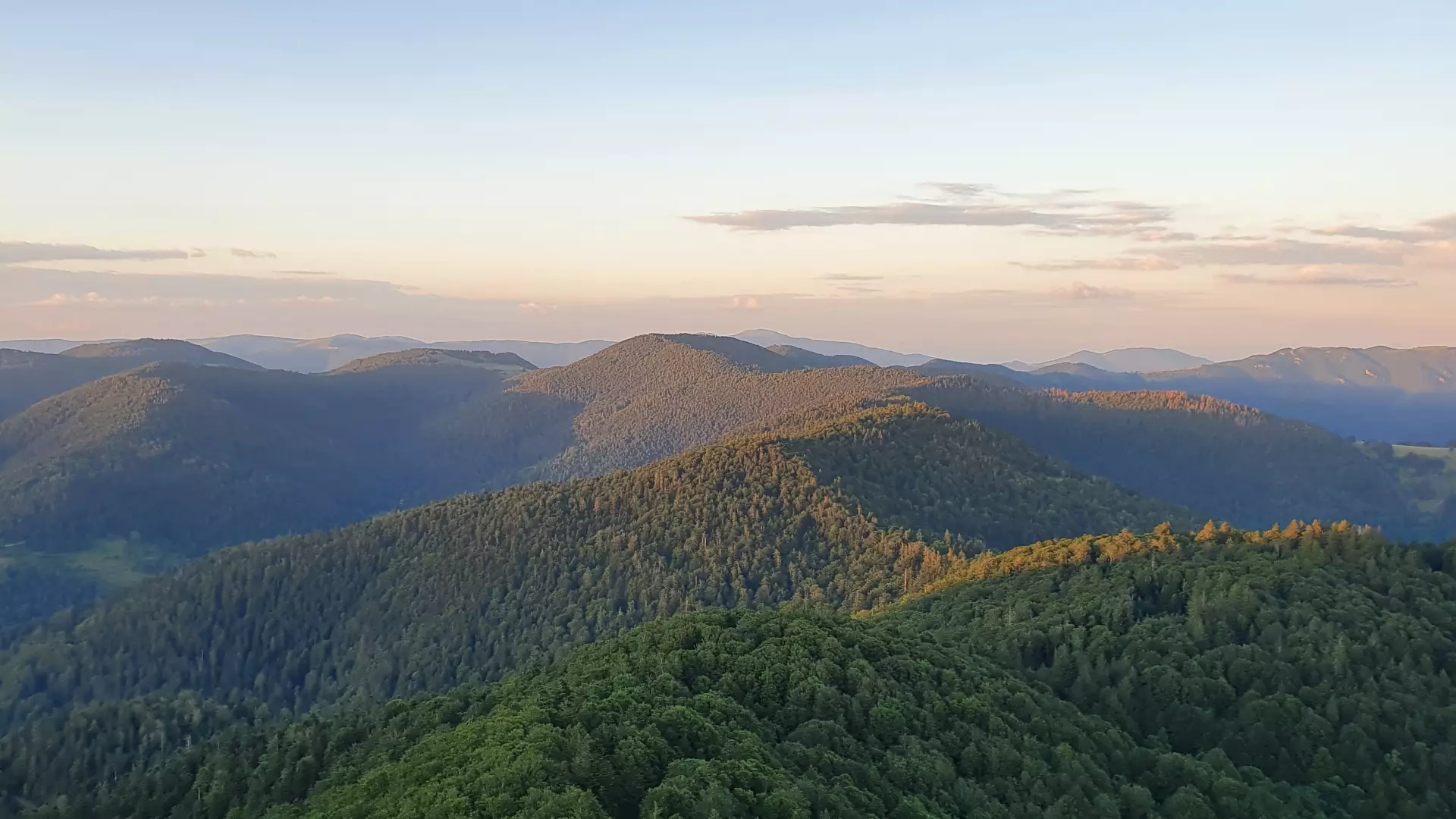 Bergwandelen en wildernistrekking