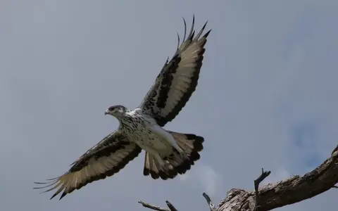 Botswana