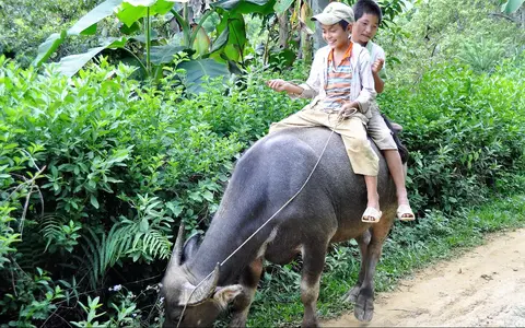 Zuid-Oost Azië: Vietnam - Laos - Cambodja