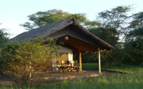 Safari Oost- en Zuidelijk Afrika