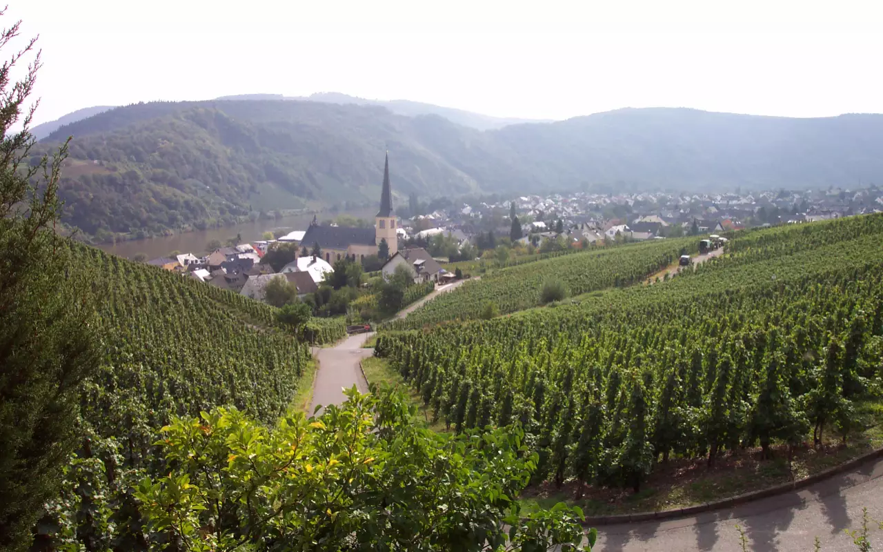 De Moezel-regio in Duitsland