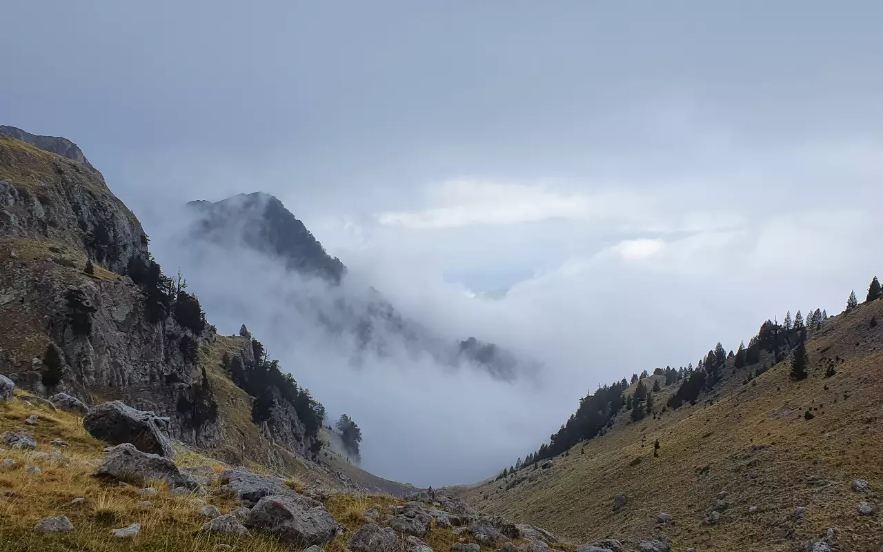 Bergwandelen en wildernistrekking