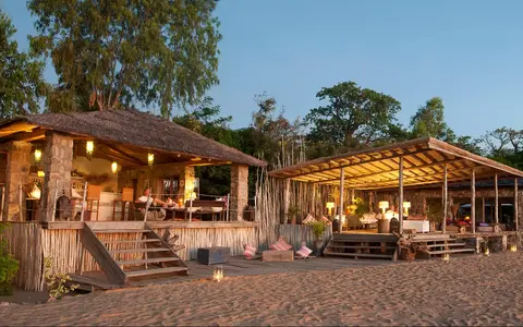 Safari