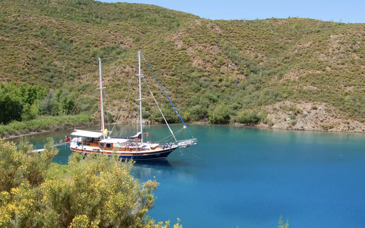 Blue cruises