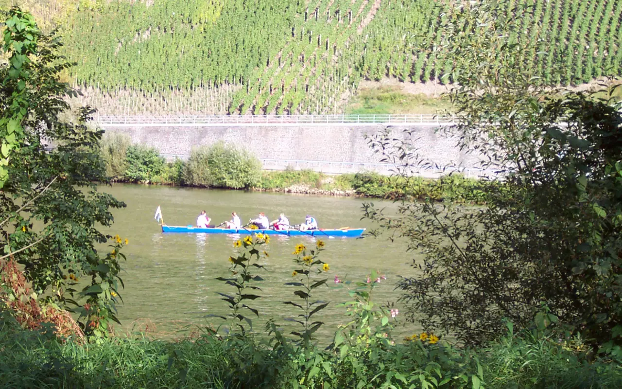 De Moezel-regio in Duitsland