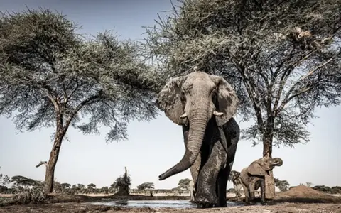 Zuidelijk Afrika
