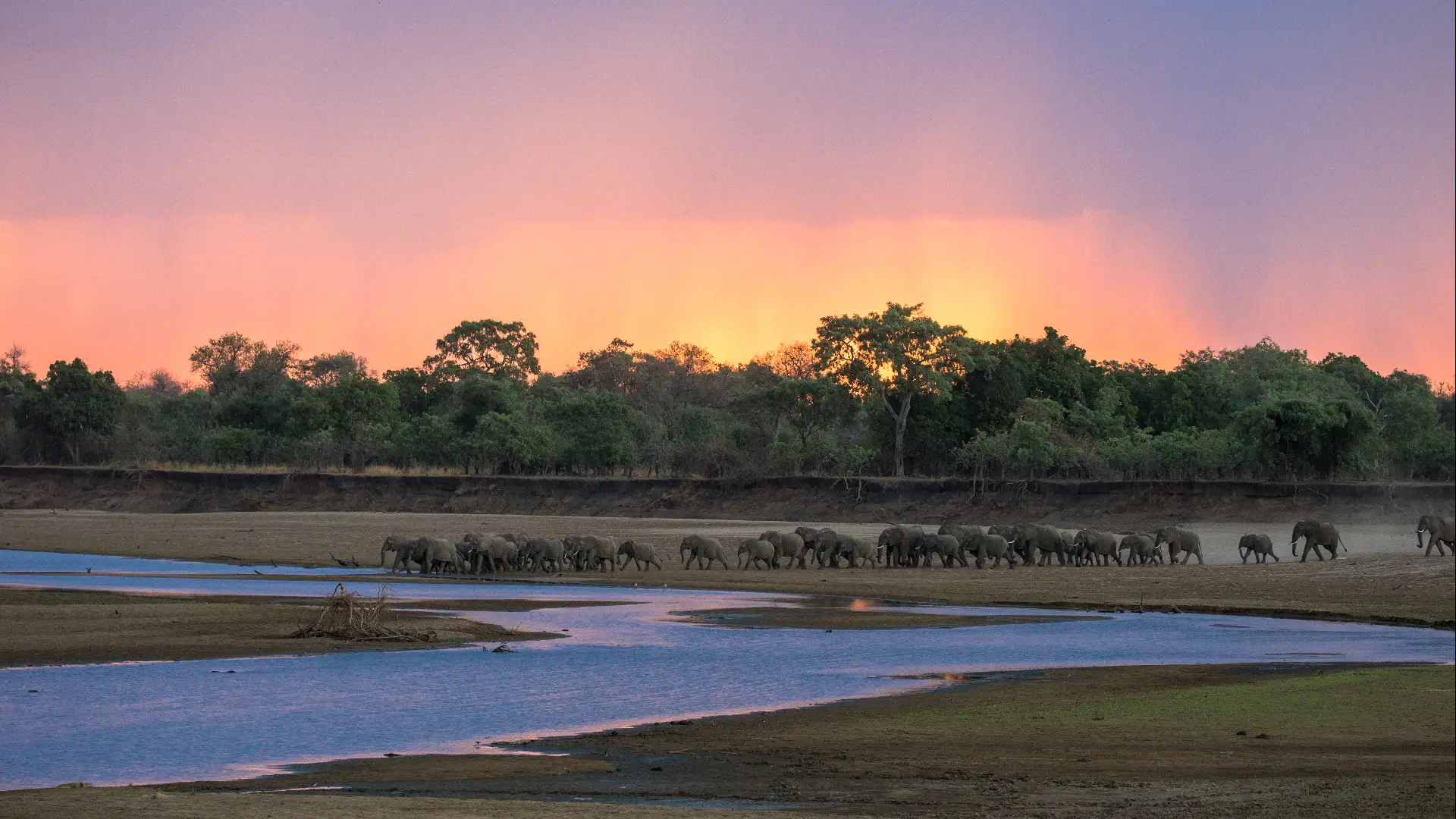 Zambia