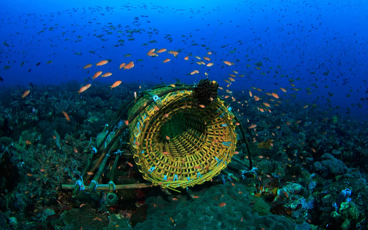 Indonesië