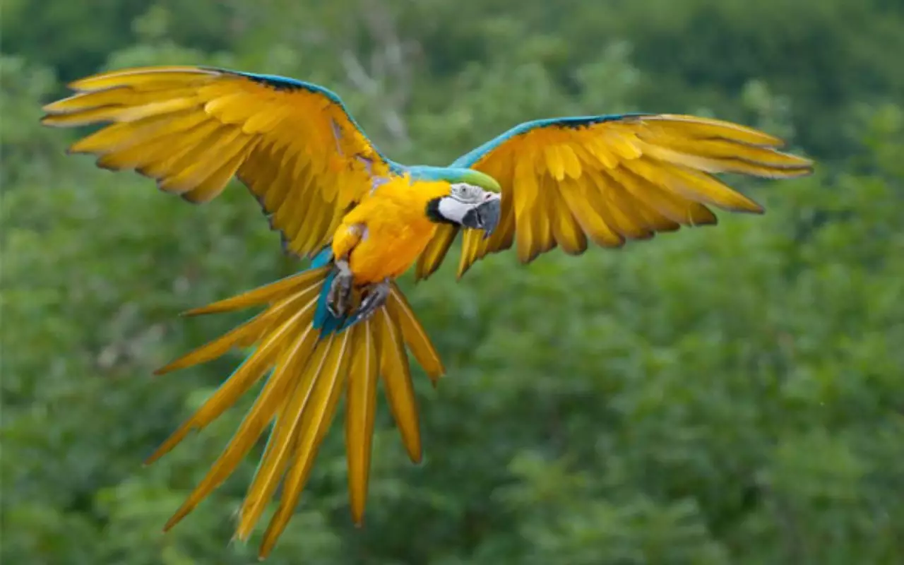 Ecuador & Galapagos