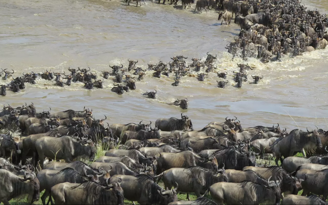 Tanzania