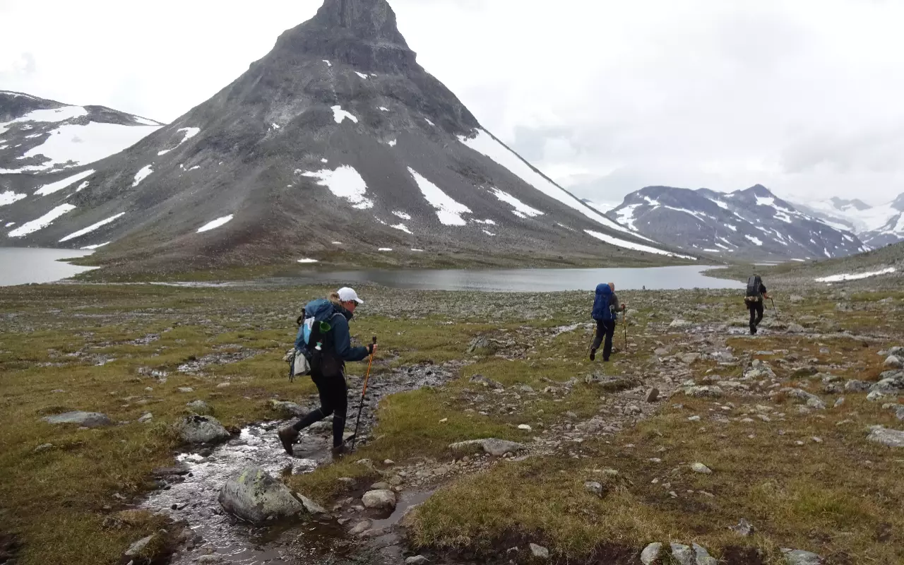 Wildernistrekkings en cursusreizen