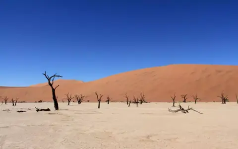 Safari Oost- en Zuidelijk Afrika