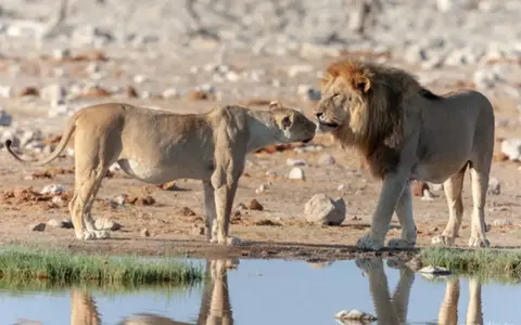 Zuidelijk Afrika