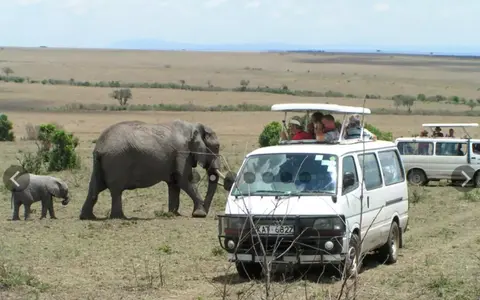 Safari Oost- en Zuidelijk Afrika