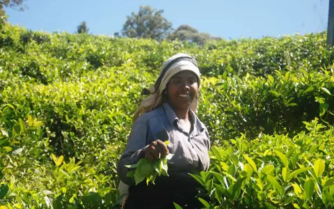 Sri Lanka