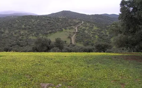 Spanje