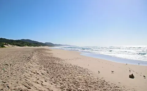 Zuid-Afrika