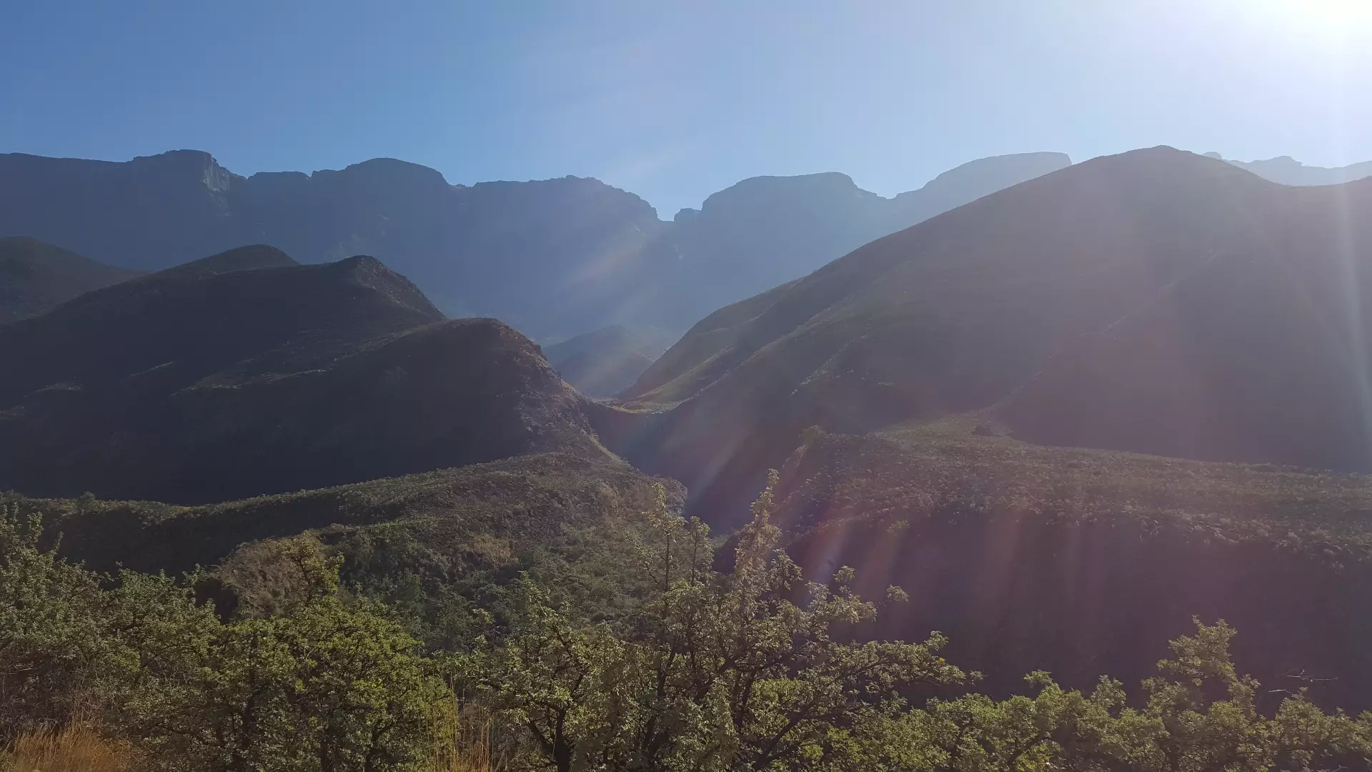 Zuid-Afrika