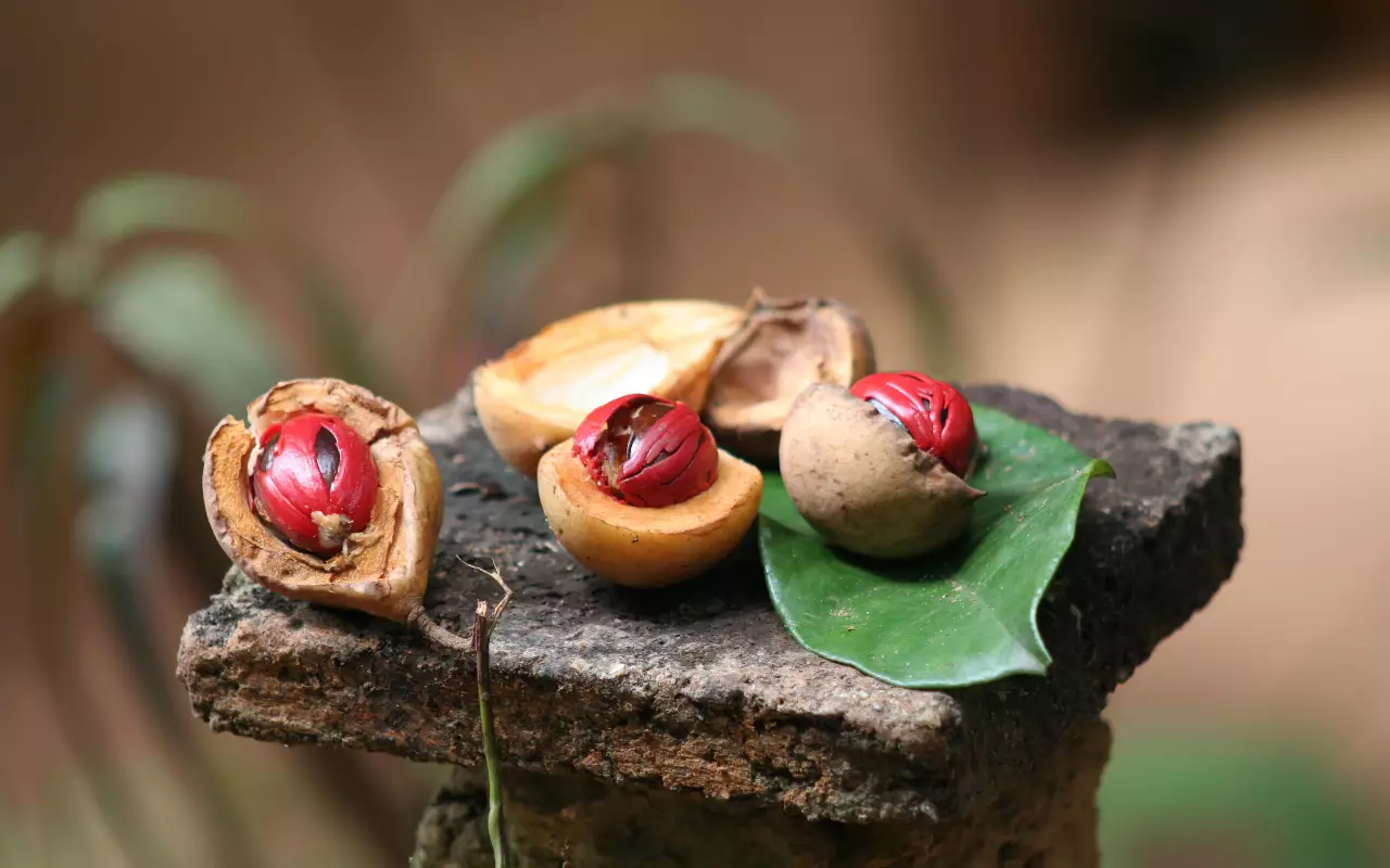 Indonesië