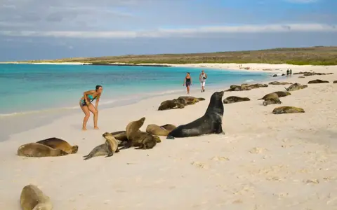 Ecuador & Galapagos