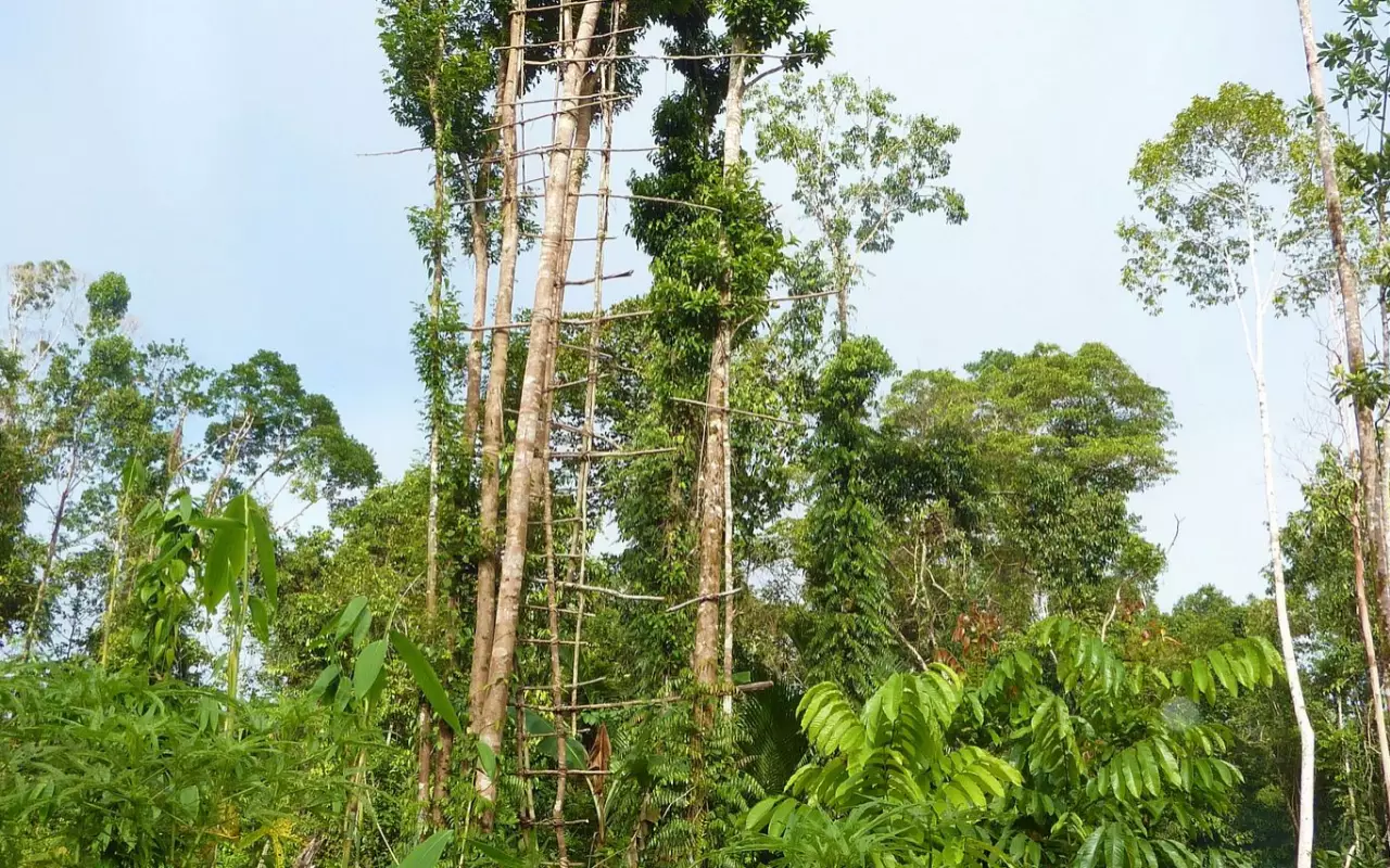 Indonesië