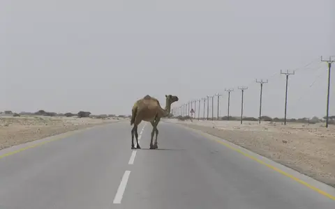 Oman