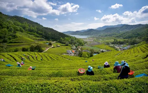 Korea