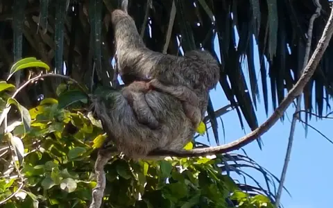 Costa Rica