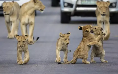 Zuidelijk Afrika