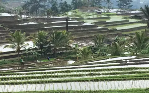 Indonesië