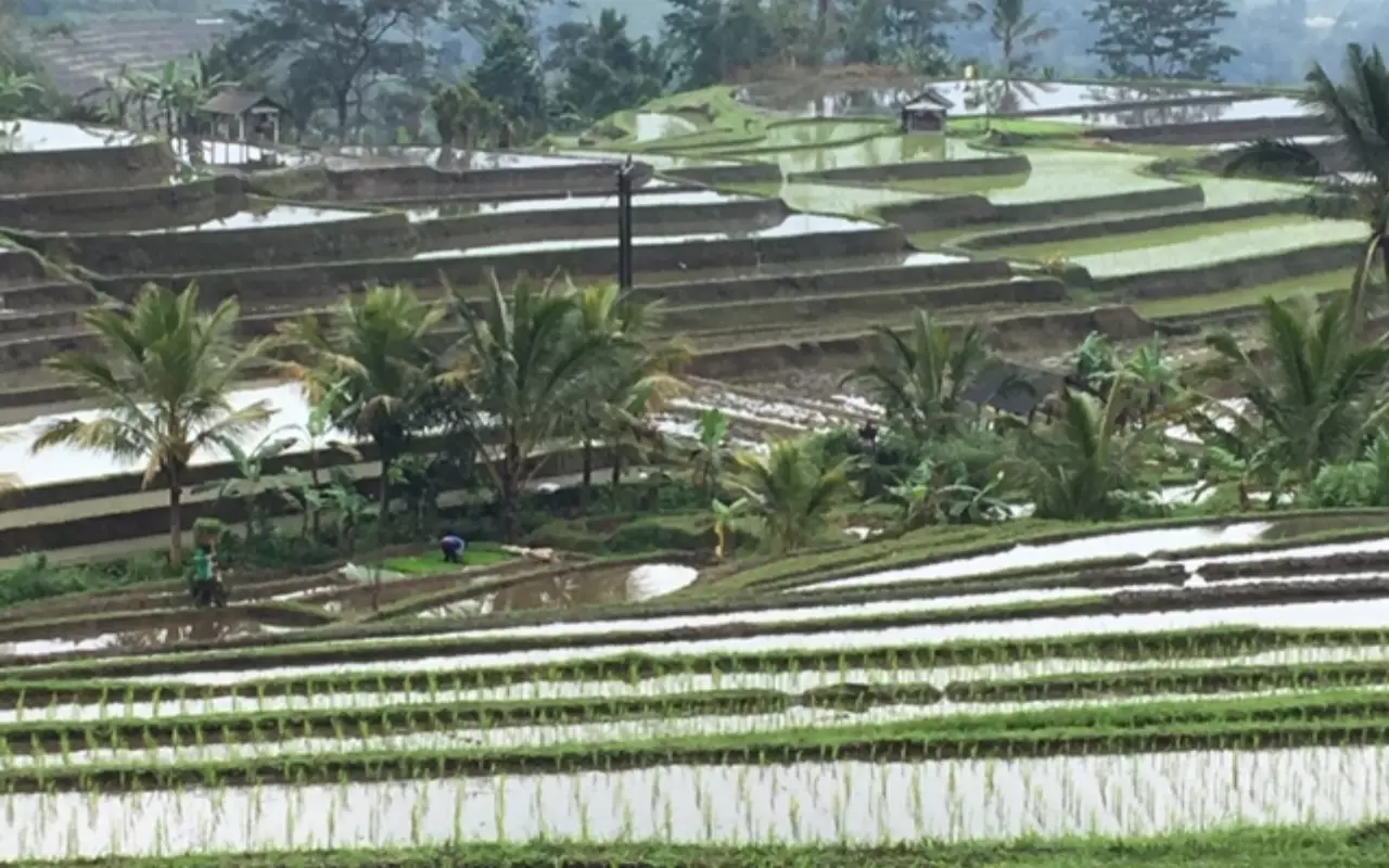 Indonesië