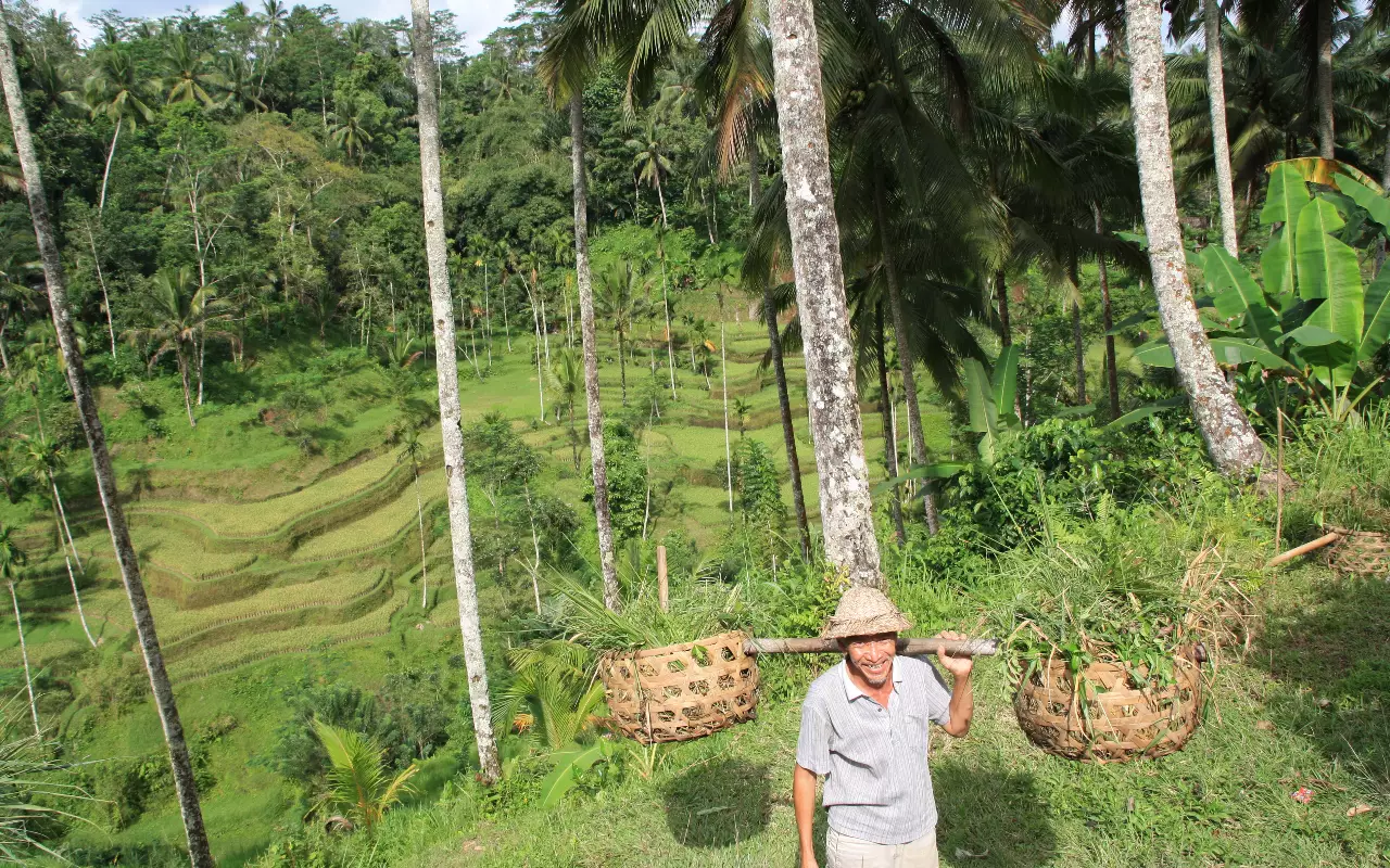 Bali