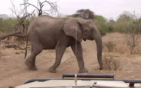 Zuid Afrika