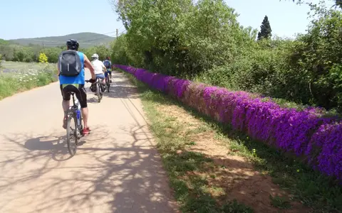 Fietsvakanties