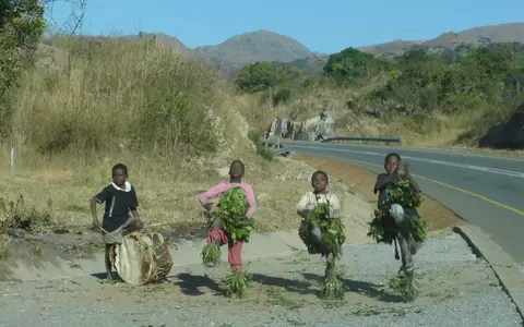 Zuid Afrika
