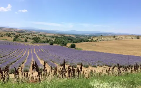 Fietsvakanties