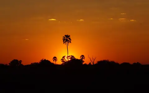 Zuidelijk Afrika